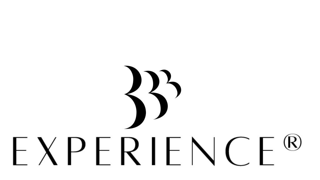 3B EXPERIENCE LOGO