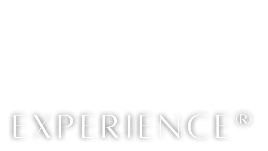 logo 3B EXPERIENCE